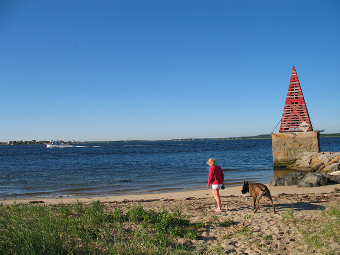 Lilli and Tony walking towards the beach