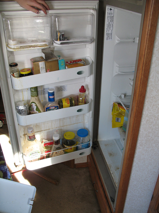 Lovely refrigerator
