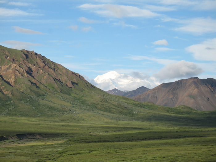 More Denali beauty