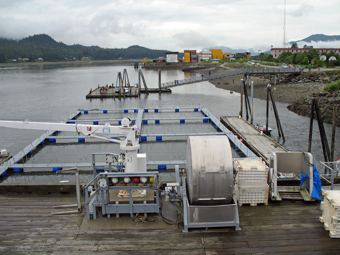 A view of the fishing dock from the hatchery