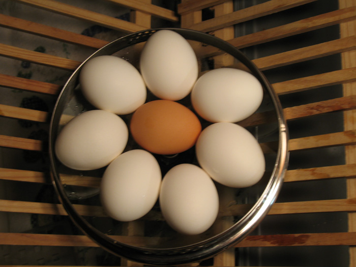 Eggs for egg salad and for eating cold on the boat