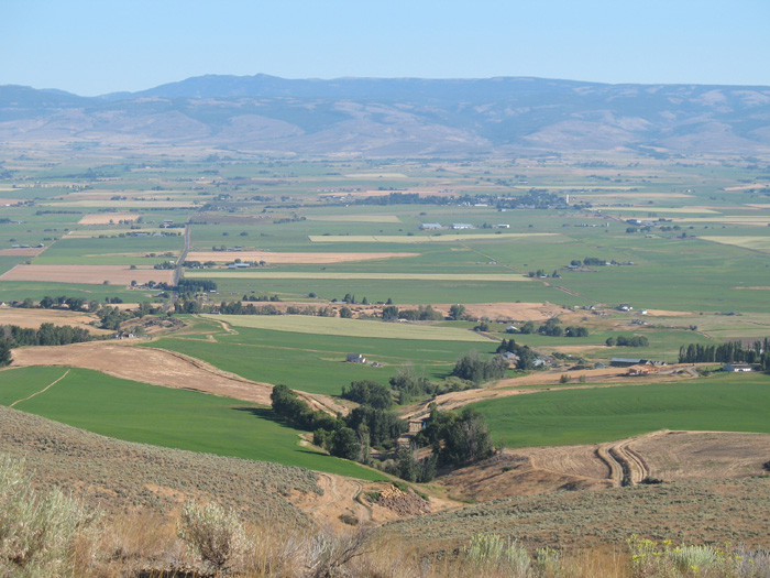 Man over nature. The desert is turned into produce with the help of watering