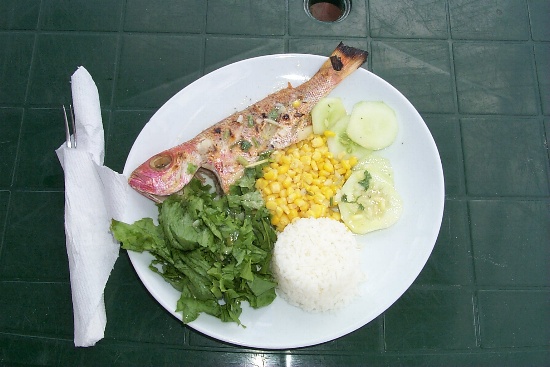 Fishplate for lunch