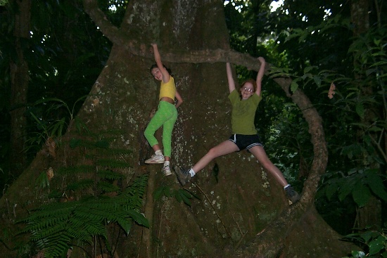 The girls playing with a huge vine