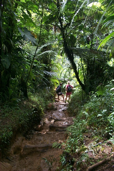 Hiking down the trail