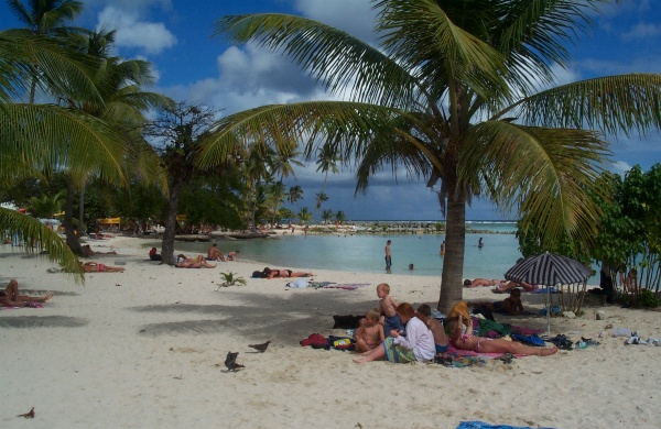 Parked under a palm-tree in St Anne