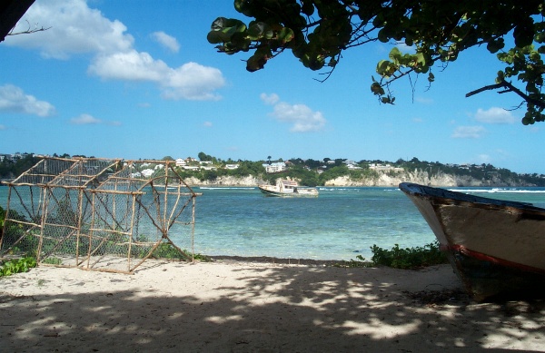 Looking out from the picnic table