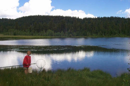 Duck Creek Lake