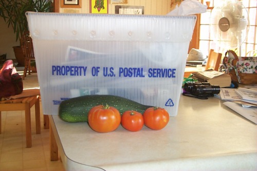 Junk Mail