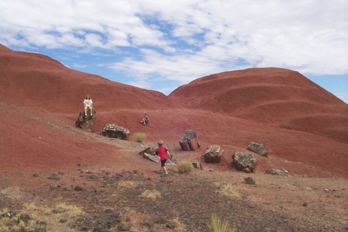 More from Painted Desert