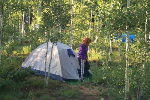 Stumbling out the tent